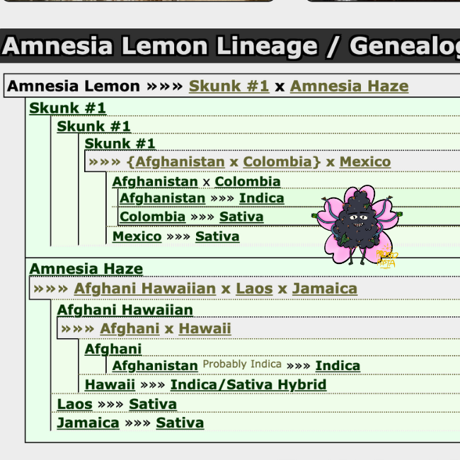 Генетика Amnesia Lemon