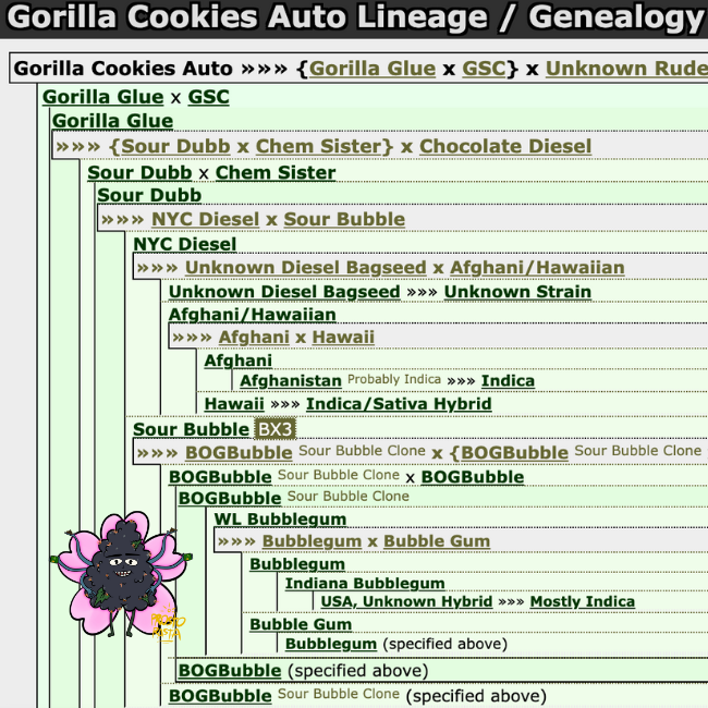 Gorilla Cookies генетика