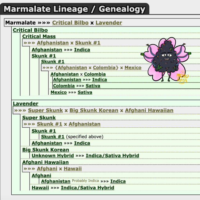 Генетика Marmalate