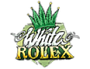 White Rolex
